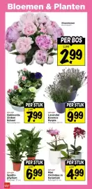 Vomar Voordeelmarkt folder Pagina 41