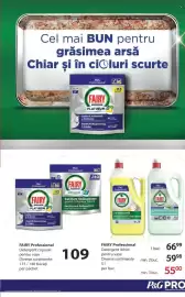 Catalog Selgros Pagină 17