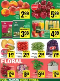 Food Basics flyer week 24 Page 37