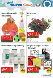 E.Leclerc gazetka | Gdansk Przymorze Strona 13