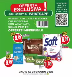 Volantino Coop Master Alleanza 3.0 Pagina 17