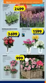 ALDI akciós újság hét 24 Oldal 35