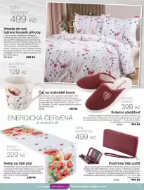Decodoma leták Strana 13