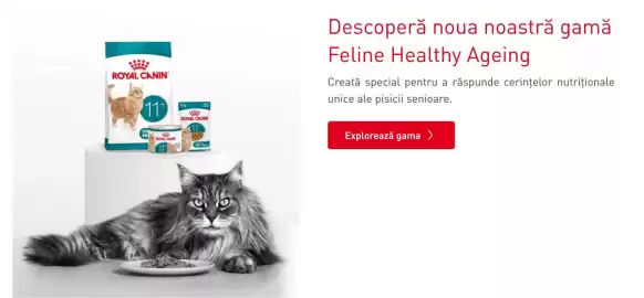Catalog Royal Canin Pagină 1