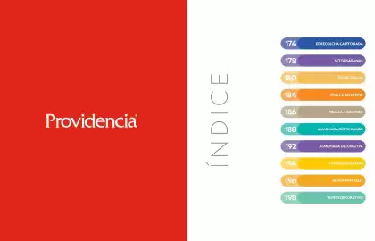 Catálogo Providencia Página 88