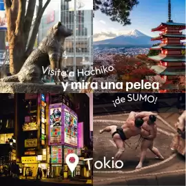 Catálogo Mega Travel Página 5