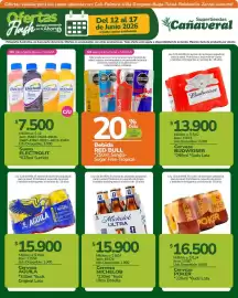 Catálogo Supertiendas Cañaveral semana 24 Página 13
