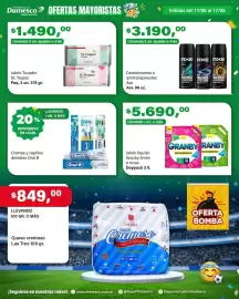 Catálogo Supermercados Damesco semana 24 Página 9
