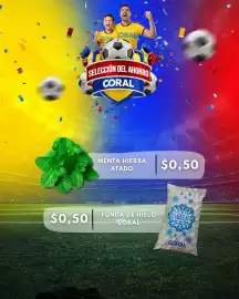 Catálogo Coral Hipermercados Página 3