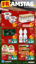 PENNY Prospekt woche 25 Seite 36
