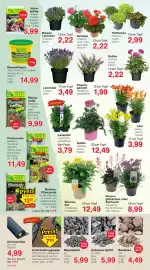 Wiglo Wunderland Prospekt woche 25 Seite 10