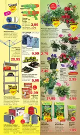 Wiglo Wunderland Prospekt woche 25 Seite 6