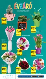 Tesco akciós újság hét 25 Oldal 10