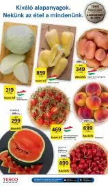 Tesco akciós újság hét 25 Oldal 2