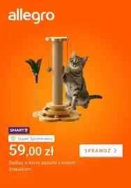 Allegro gazetka tydzień 24 Strona 1