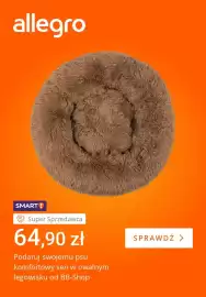 Allegro gazetka tydzień 24 Strona 3