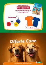 Volantino Lillo e i Vagabondi Pagina 2