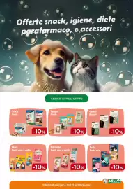 Volantino Lillo e i Vagabondi Pagina 6