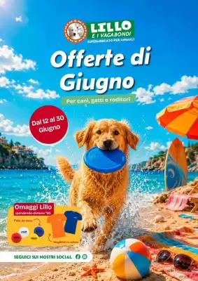 Volantino Lillo e i Vagabondi (valido fino al 30-06)