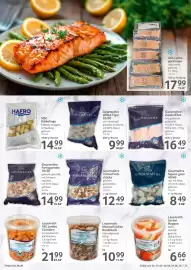 Selgros Prospekt woche 25 Seite 27