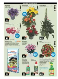V Baumarkt Prospekt woche 25 Seite 2