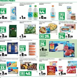 Volantino Iper La Grande Pagina 10