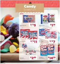 Family Fare weekly ad week 25 Page 11