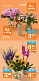 Albert Heijn folder week 25 Pagina 29