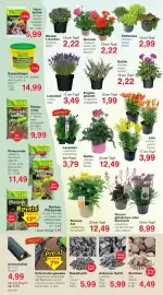 Jawoll Prospekt woche 25 Seite 10