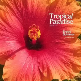 Folleto Terranova Página 5