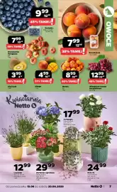 Netto gazetka tydzień 25 Strona 7