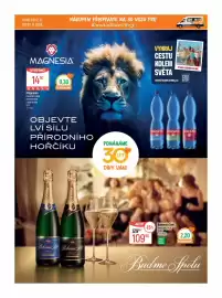 Globus leták týden 25 Strana 20