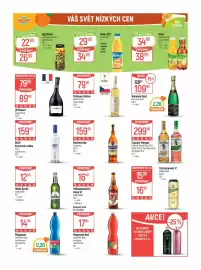 Globus leták týden 25 Strana 31
