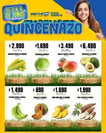 Catálogo Mercapava Página 5