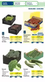 METRO Prospekt woche 24 Seite 10