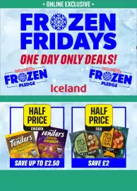 Iceland leaflet Page 1