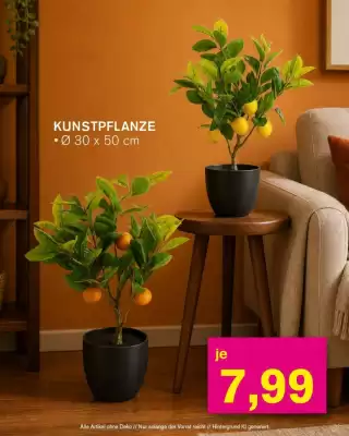 KODi (gültig bis 16-06)