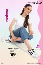 Catálogo Sokso Página 106