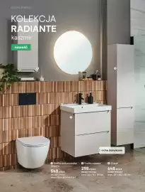 Castorama gazetka Strona 12