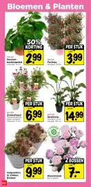 Vomar Voordeelmarkt folder week 25 Pagina 32