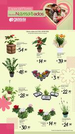 Encarte Giassi Supermercados semana 24 Página 2