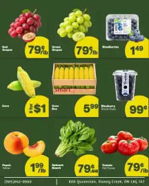 Samir Supermarket flyer Page 4