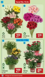 ALDI folder week 25 Pagina 40