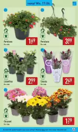 ALDI folder week 25 Pagina 41