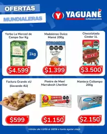 Catálogo Yaguane Supermercados semana 24 Página 2