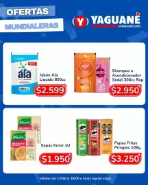 Catálogo Yaguane Supermercados semana 24 Página 3