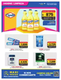 Folleto Carrefour Maxi semana 24 Página 3