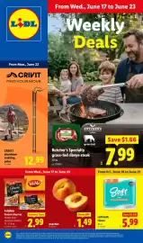 Lidl weekly ad week 25 Page 1