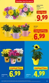Lidl weekly ad week 25 Page 31