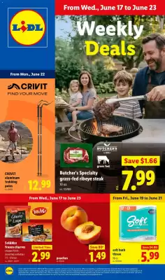 Lidl (valid until 23-06)